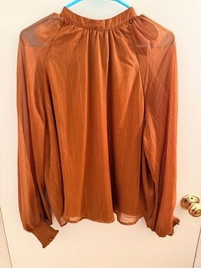Flying Tomato Rust Orange Sheer Textured Blouse